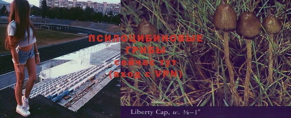 прущая мука Осинники