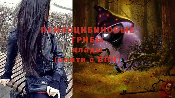 прущий лед Пересвет