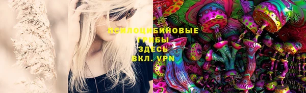 mdma Кодинск