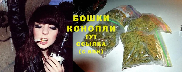прущий лед Пересвет