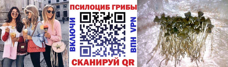 Галлюциногенные грибы GOLDEN TEACHER  Заполярный 